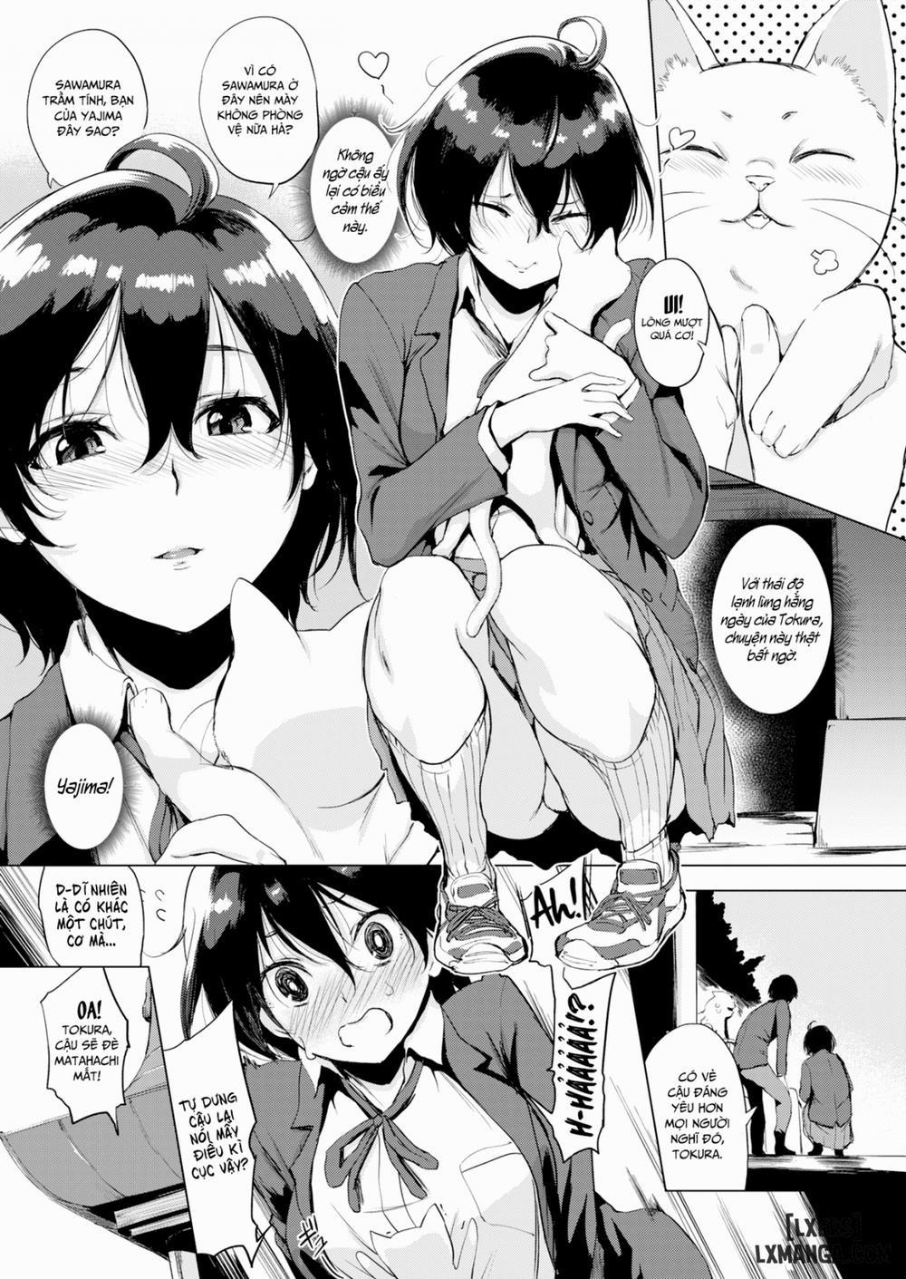 Tokura-san Loves Cat Oneshot trang 3