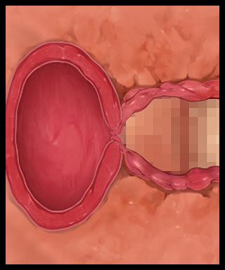 Tomo Haha Gachi Haramase! Artist trang 119