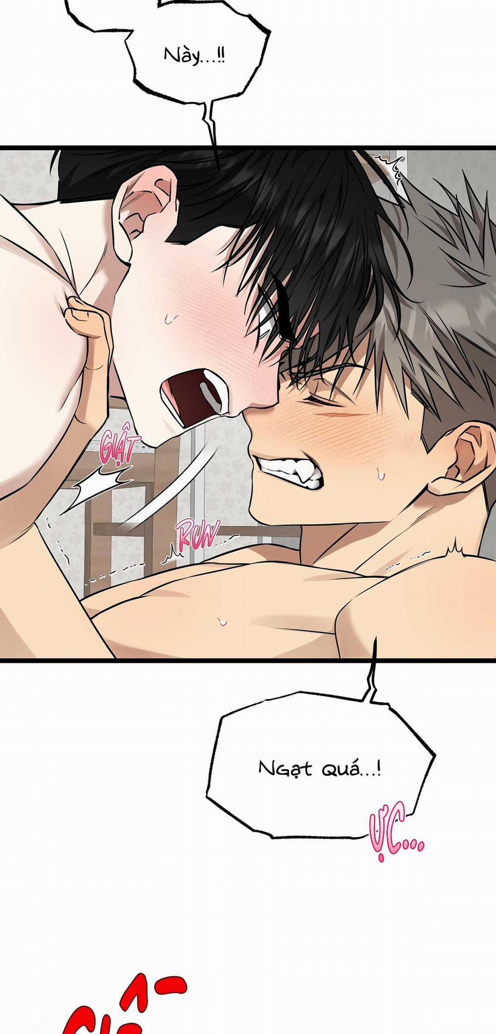 Tôn Kính Và Khát Khao 10 trang 14