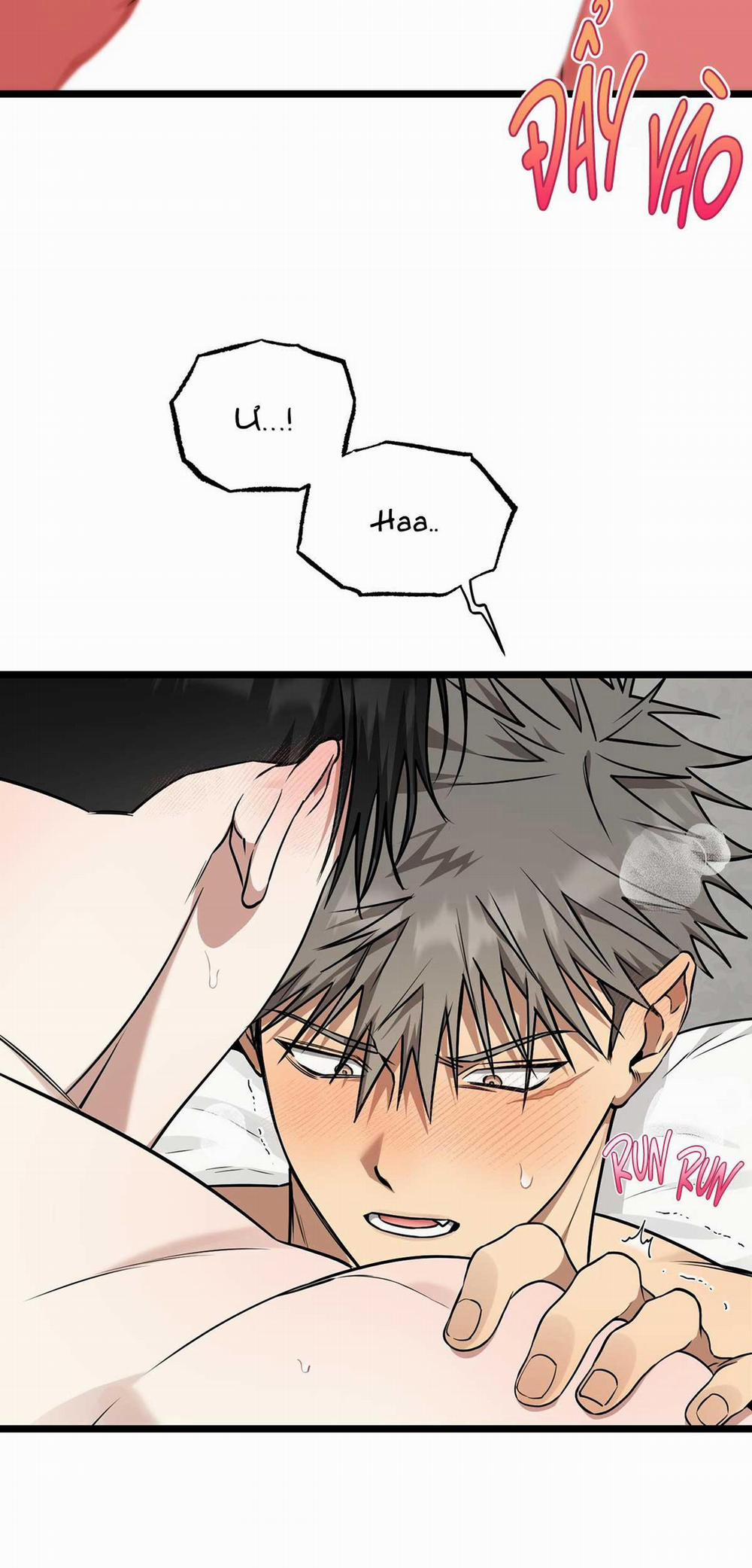 Tôn Kính Và Khát Khao 10 trang 18