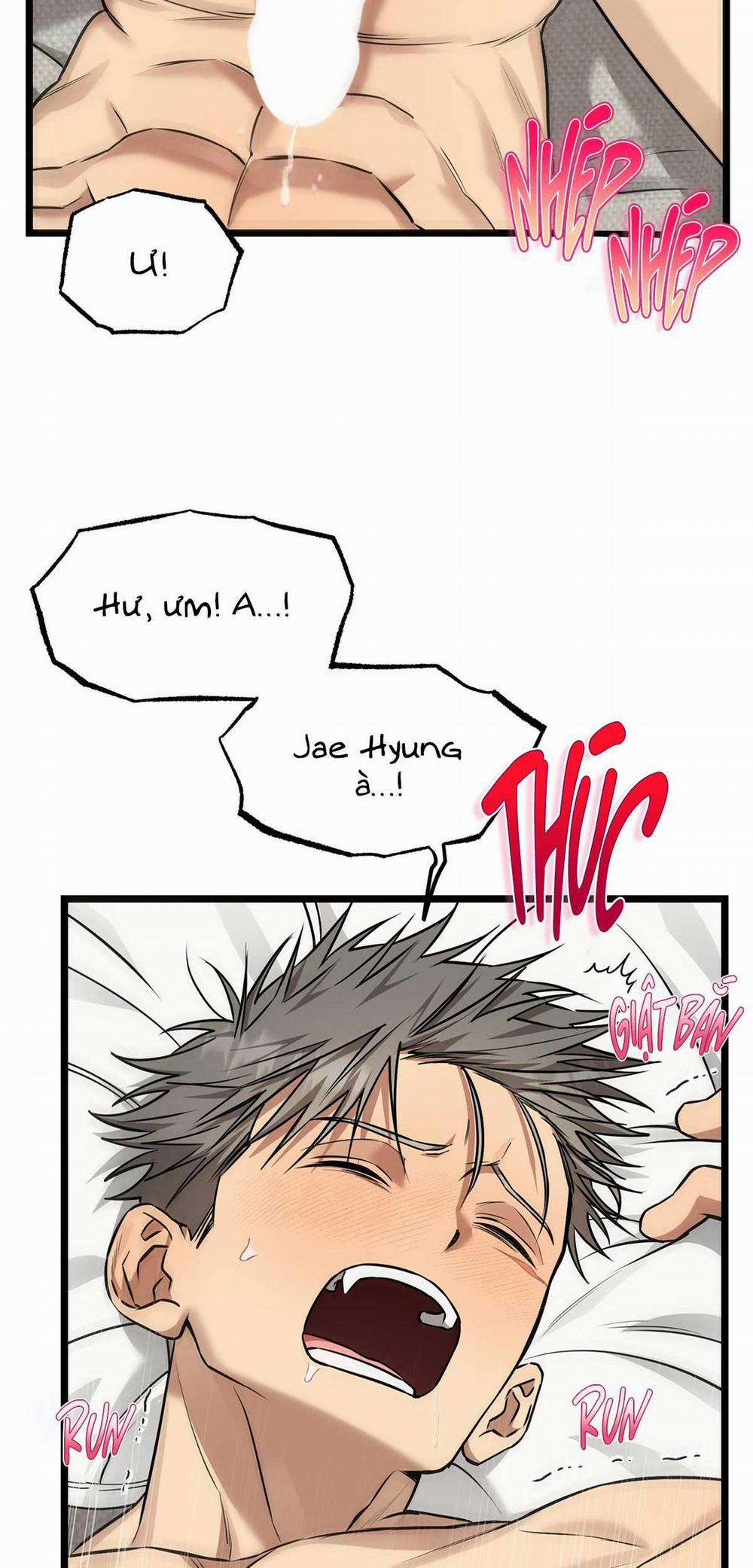 Tôn Kính Và Khát Khao 10 trang 26