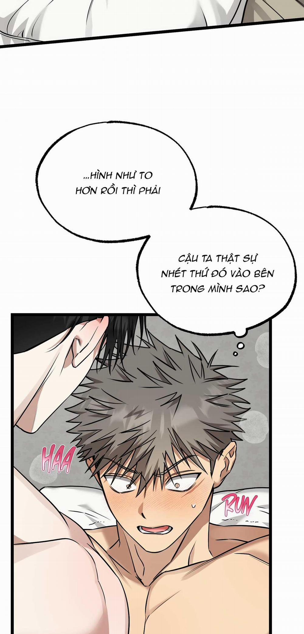 Tôn Kính Và Khát Khao 10 trang 5