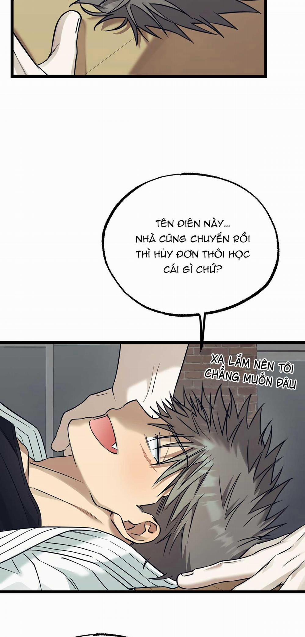 Tôn Kính Và Khát Khao 10 trang 60