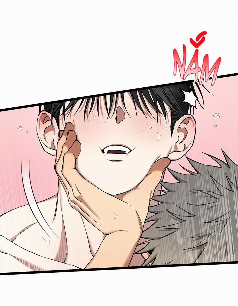 Tôn Kính Và Khát Khao 11 trang 13