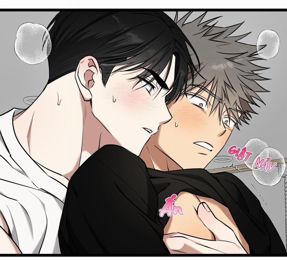 Tôn Kính Và Khát Khao 12 trang 26