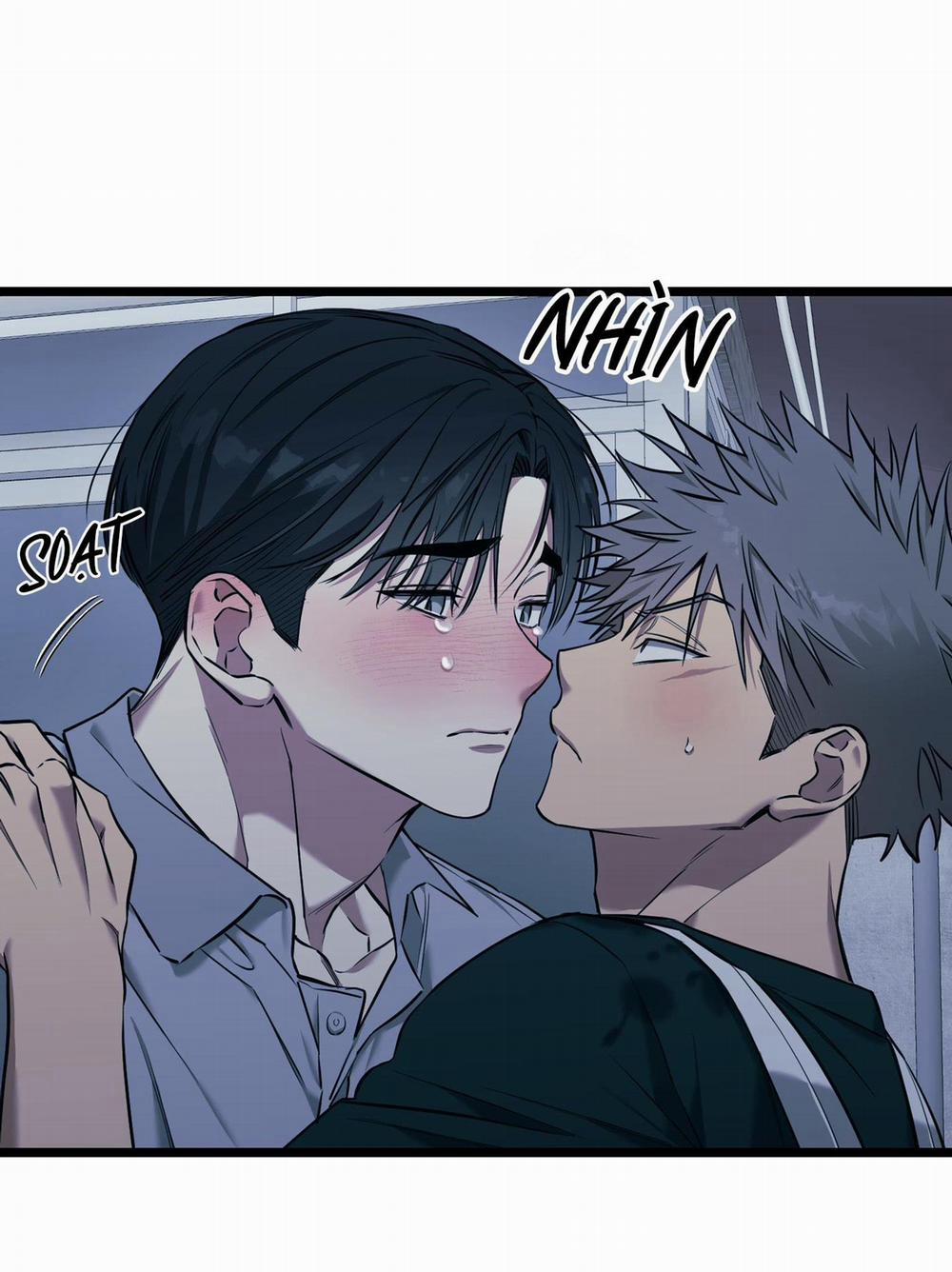 Tôn Kính Và Khát Khao 13 trang 31