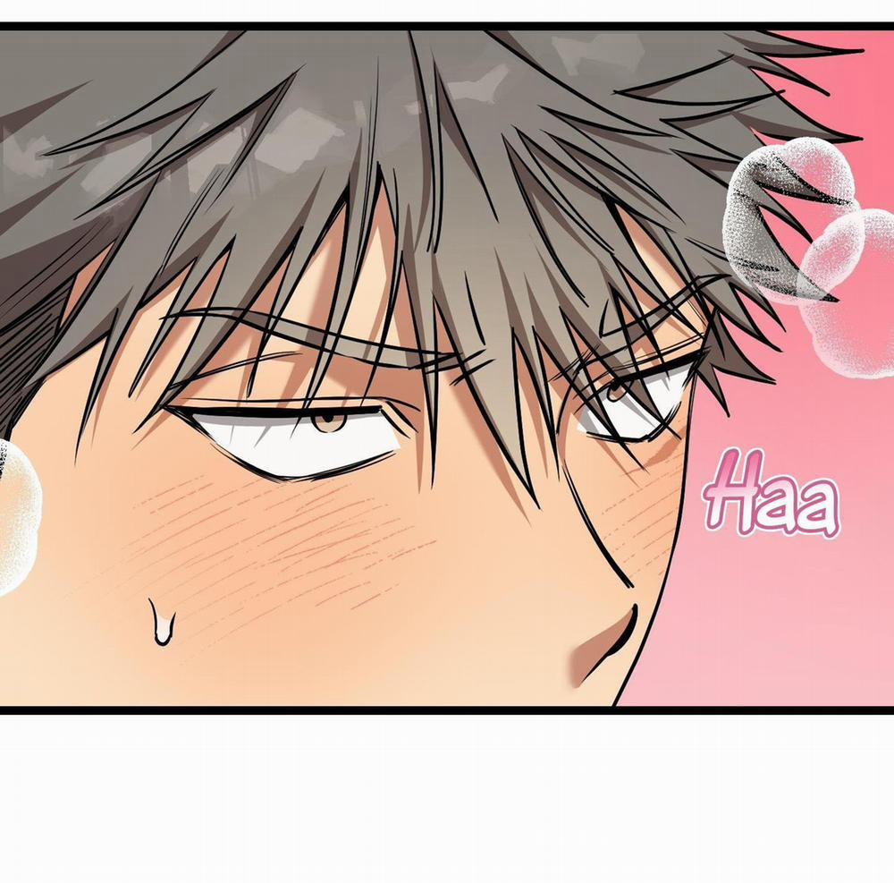 Tôn Kính Và Khát Khao 13 trang 62