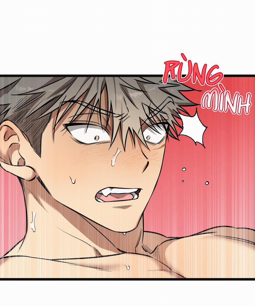 Tôn Kính Và Khát Khao 15 trang 16