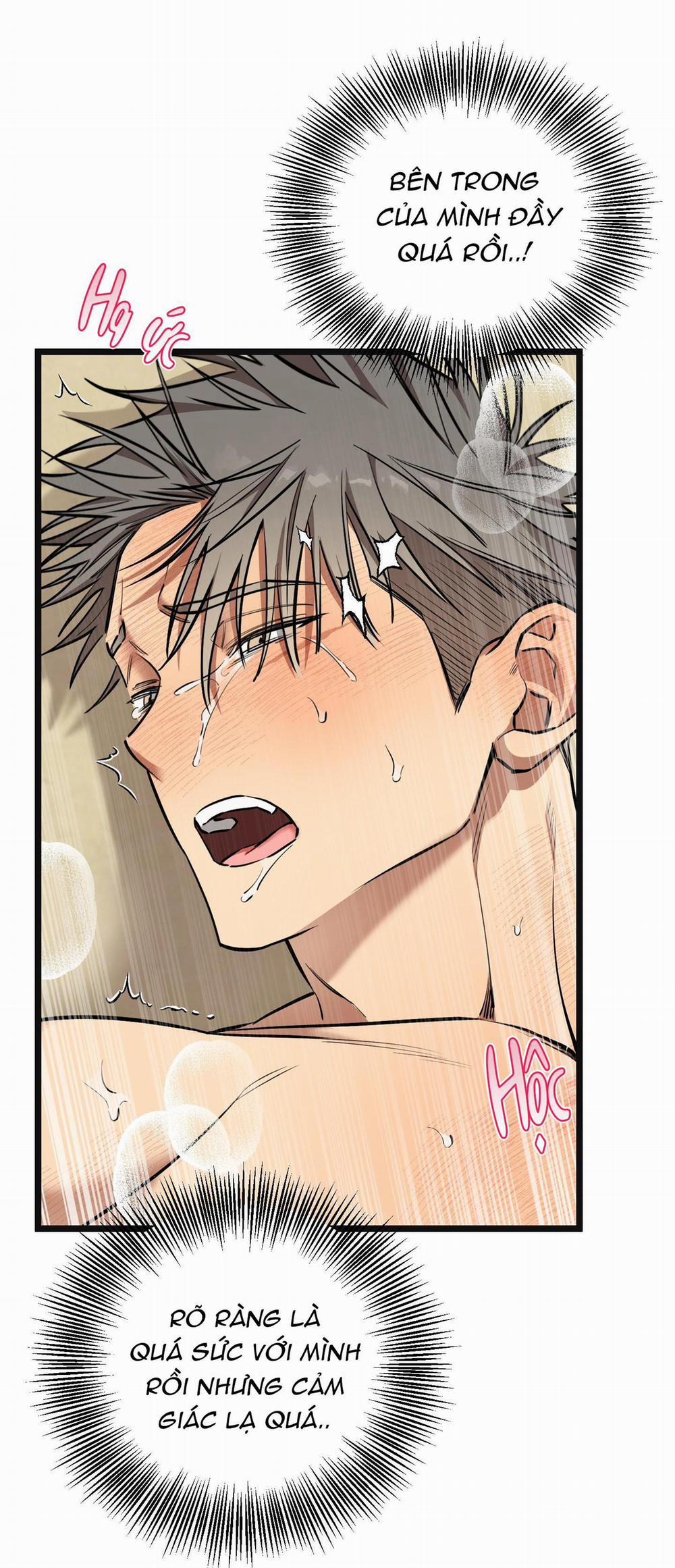 Tôn Kính Và Khát Khao 15 trang 26