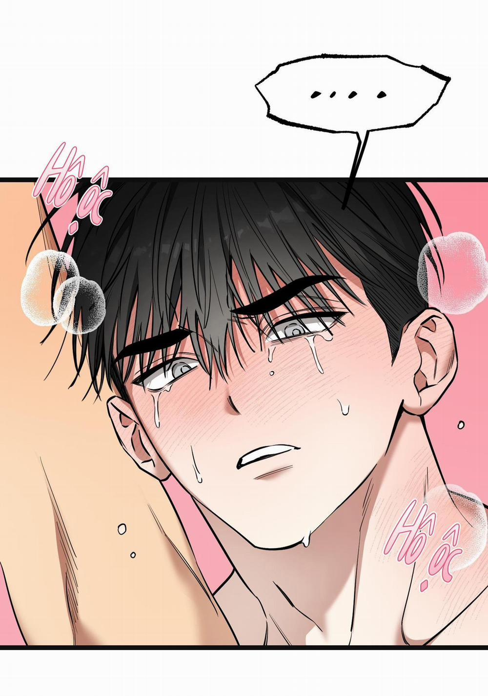 Tôn Kính Và Khát Khao 15 trang 41