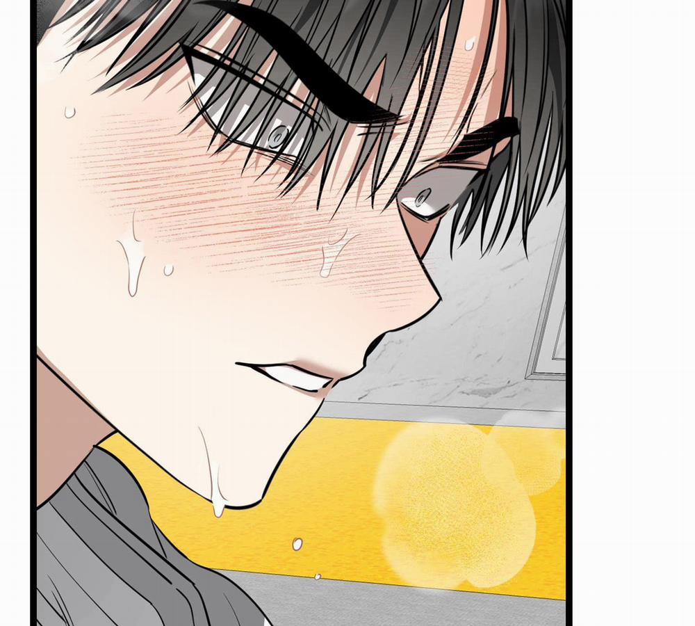 Tôn Kính Và Khát Khao 6 trang 77