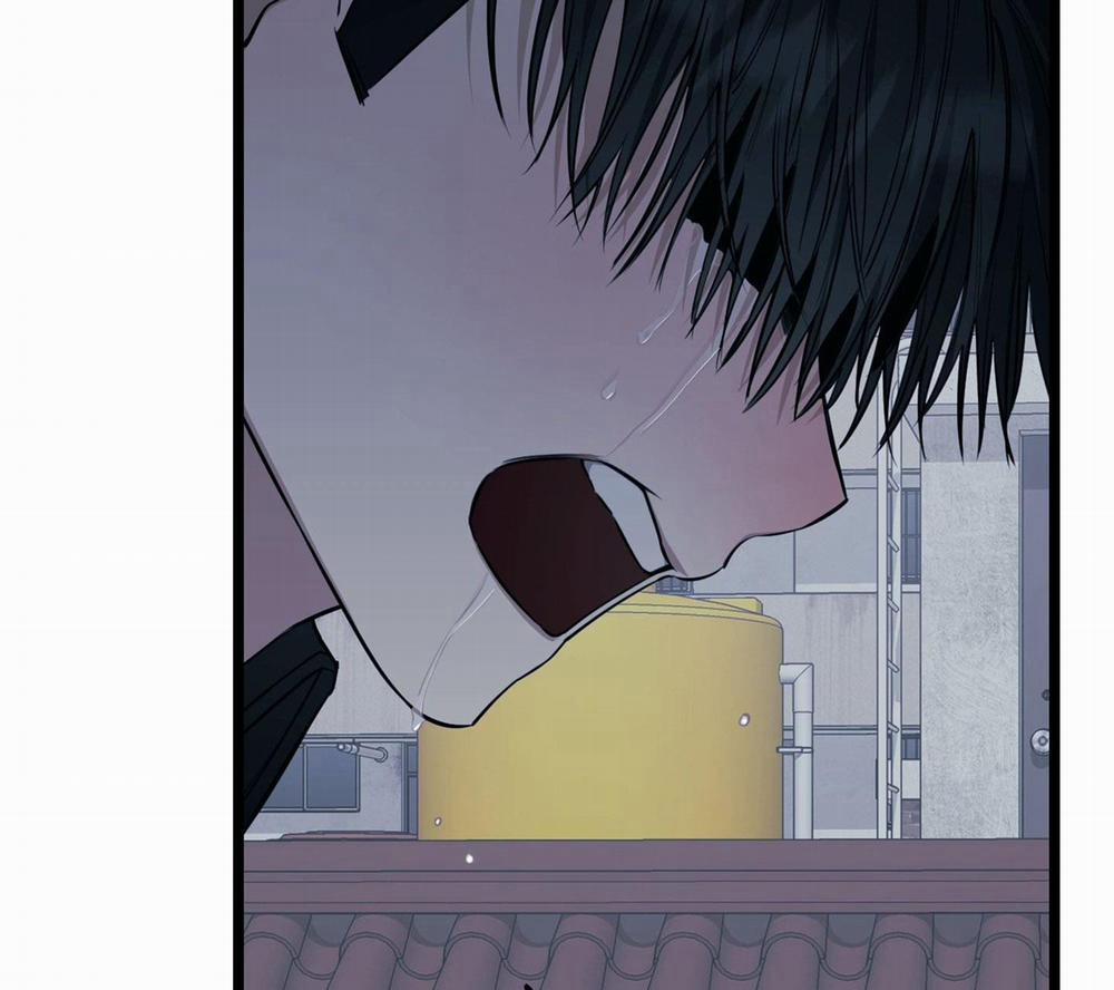 Tôn Kính Và Khát Khao 8 trang 35