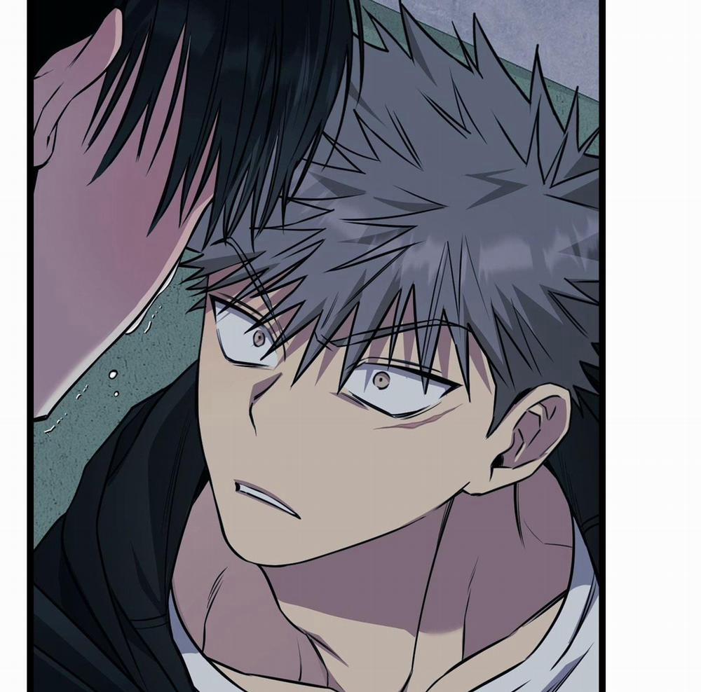 Tôn Kính Và Khát Khao 8 trang 37