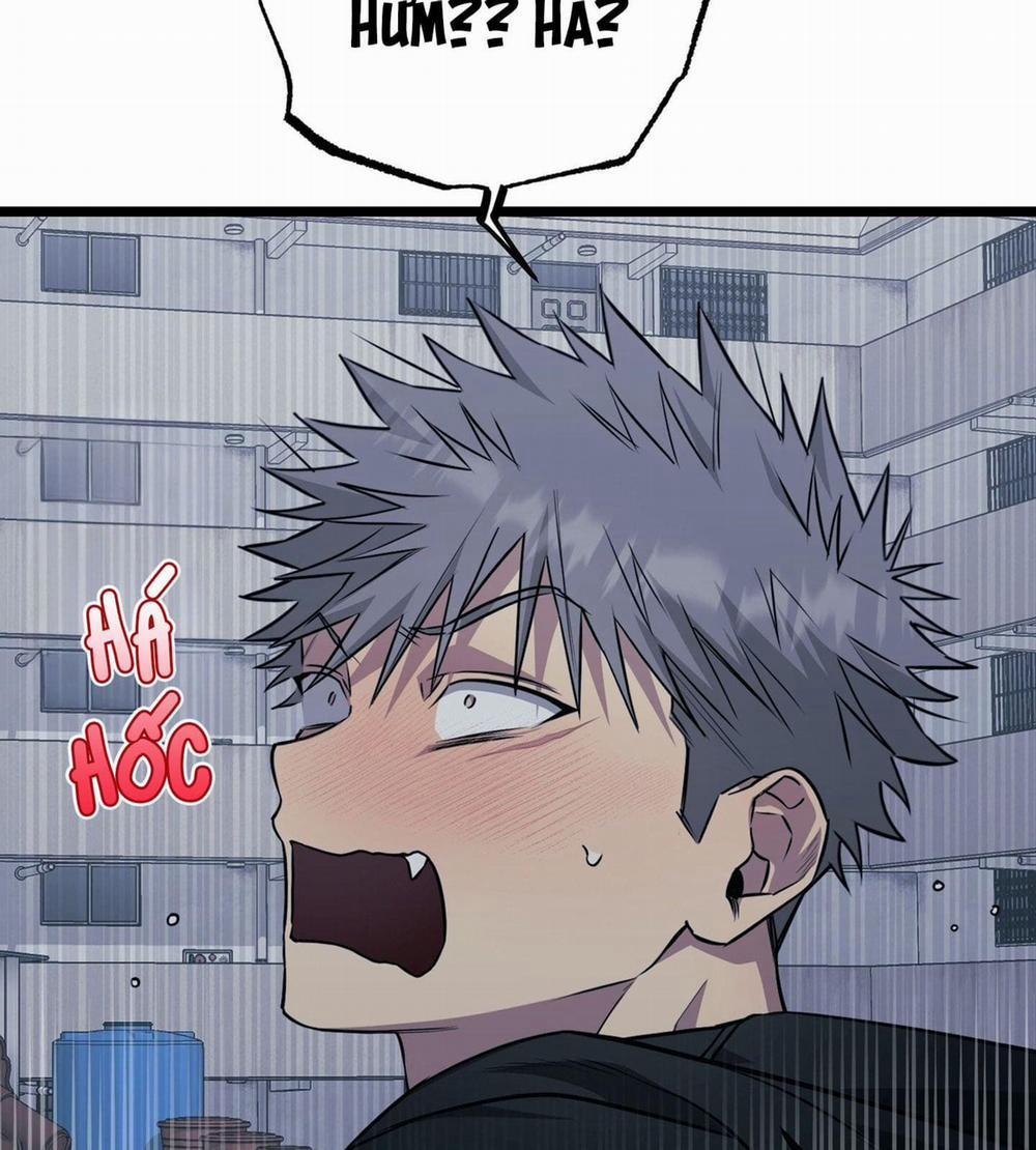 Tôn Kính Và Khát Khao 8 trang 48