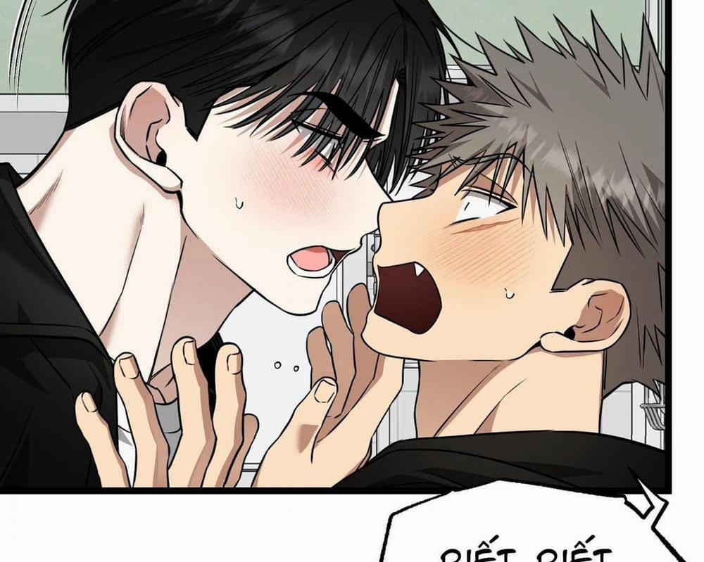 Tôn Kính Và Khát Khao 8 trang 67