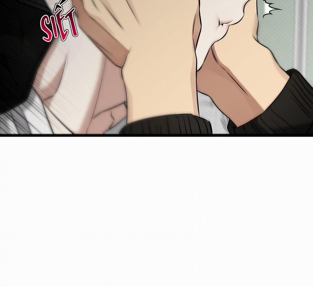 Tôn Kính Và Khát Khao 8 trang 81