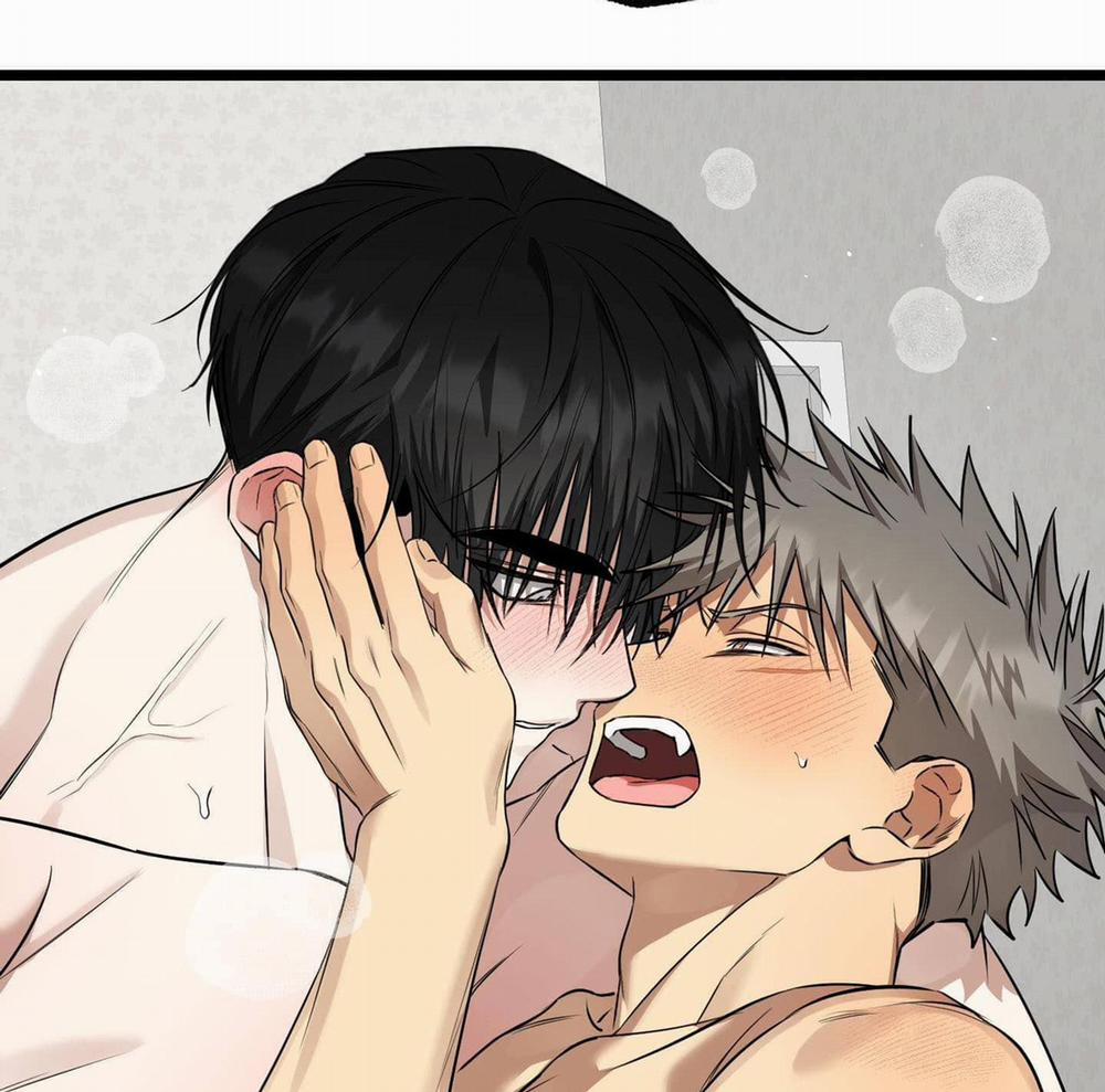 Tôn Kính Và Khát Khao 9 trang 117