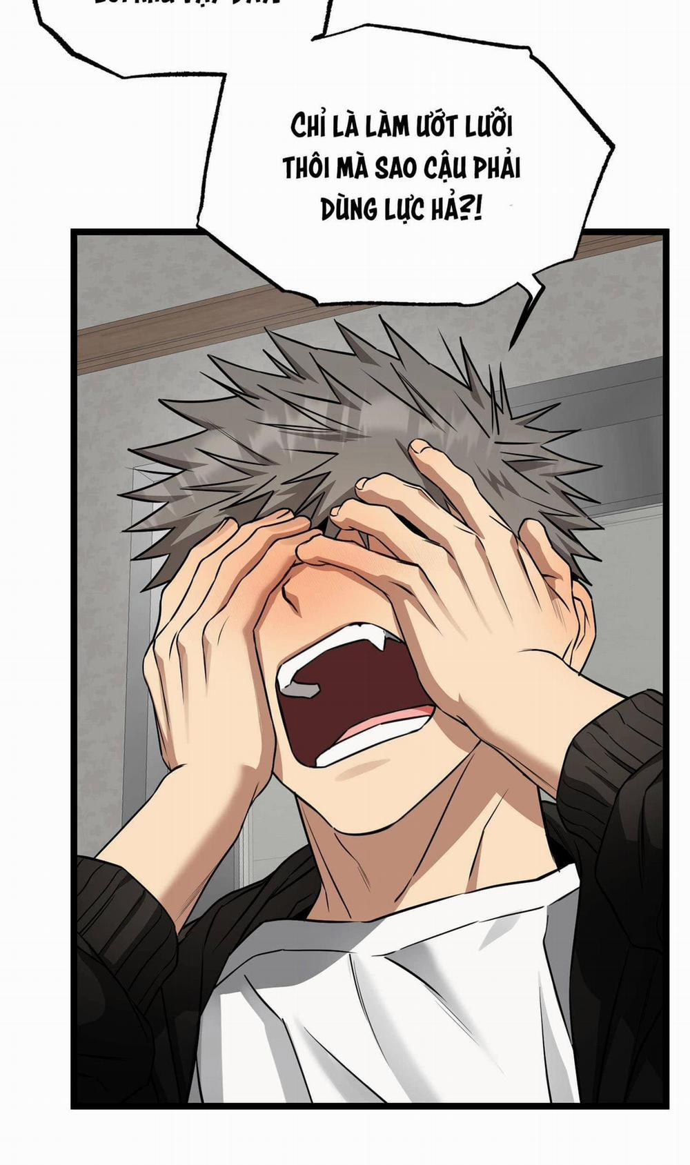 Tôn Kính Và Khát Khao 9 trang 13