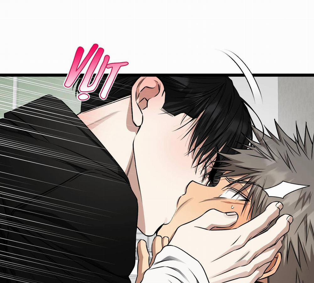 Tôn Kính Và Khát Khao 9 trang 4