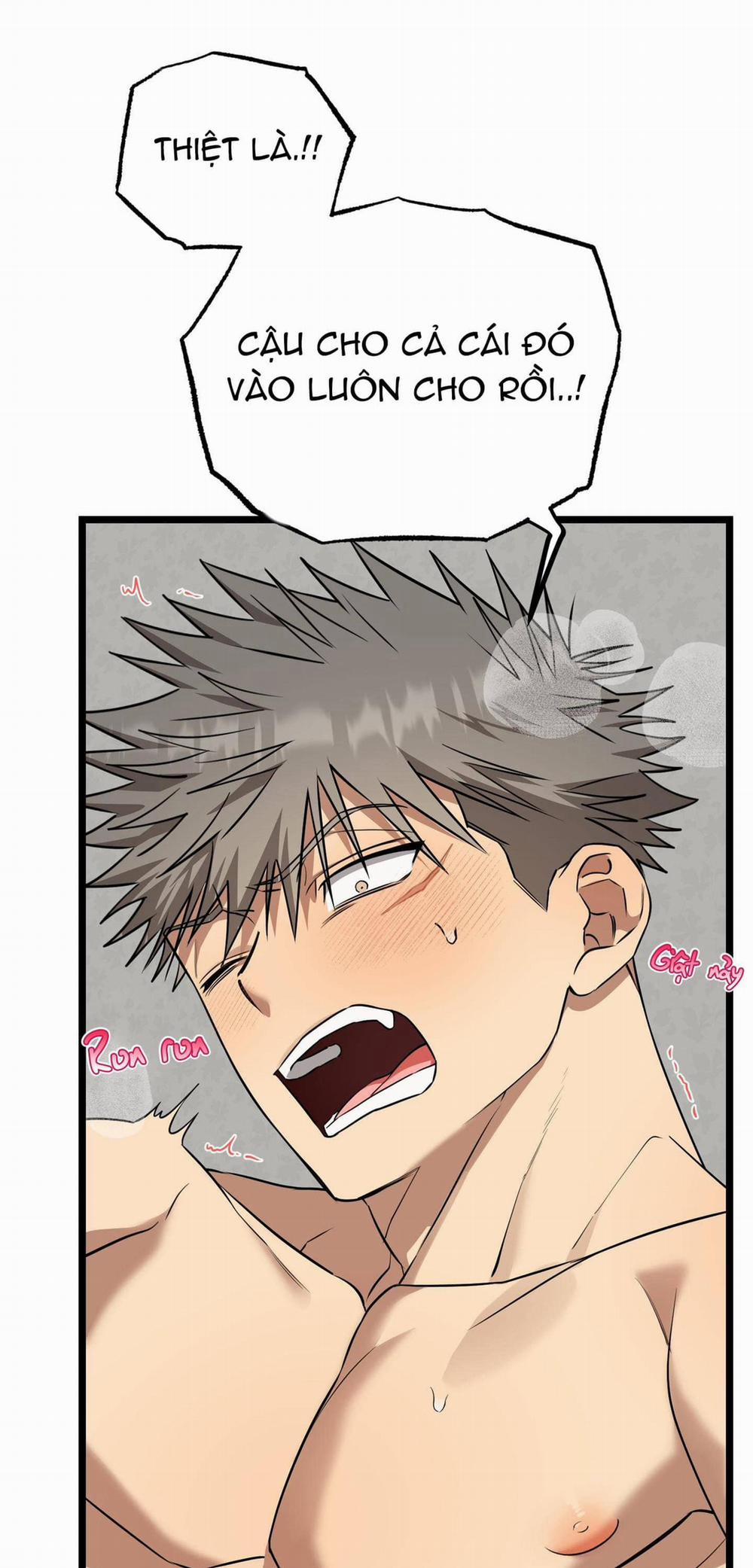 Tôn Kính Và Khát Khao 9 trang 91