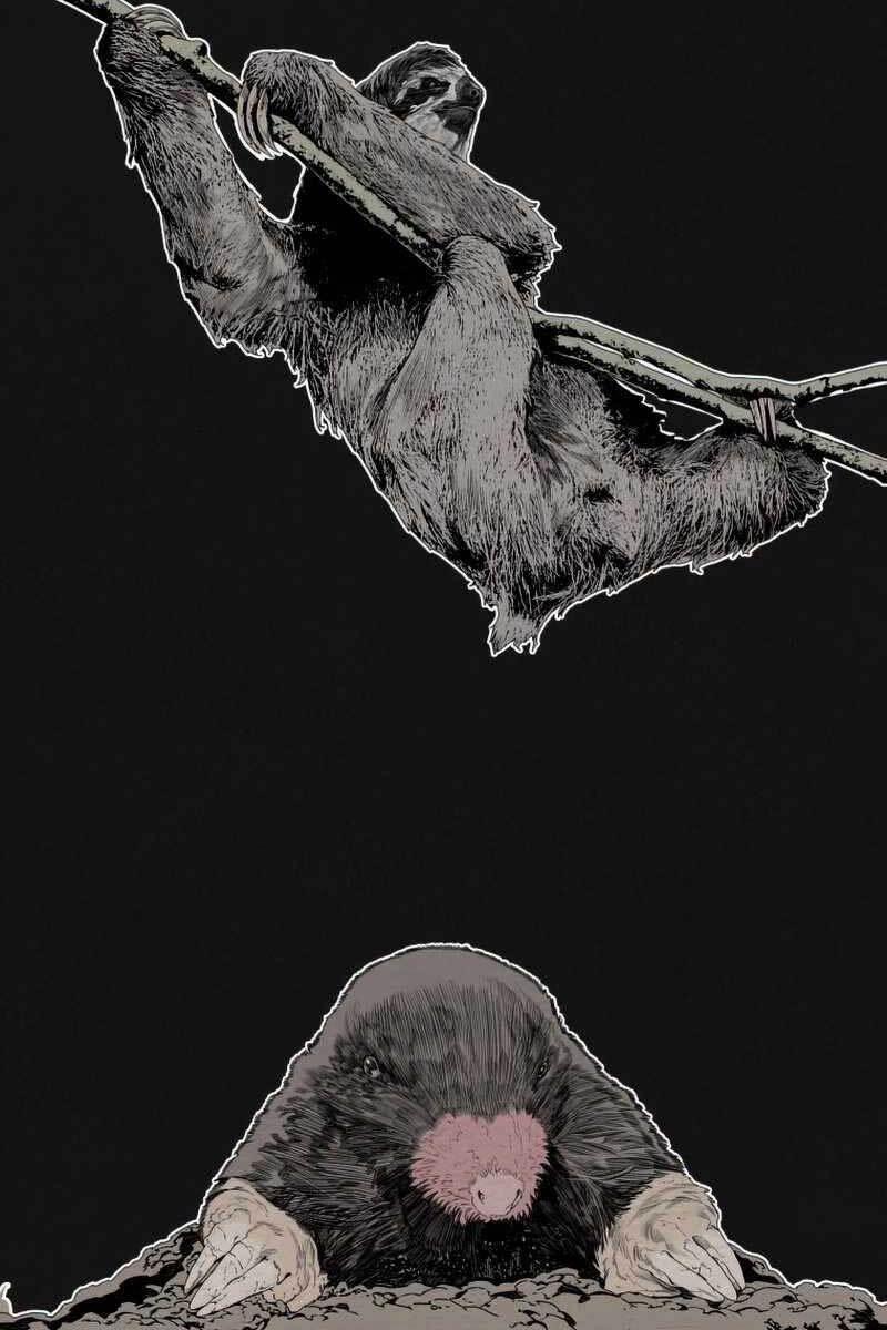 Tồn Tại Vĩnh Hằng 14 trang 27