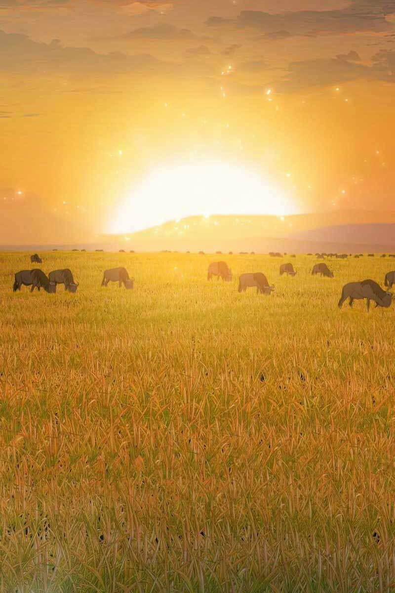 Tồn Tại Vĩnh Hằng 14 trang 33