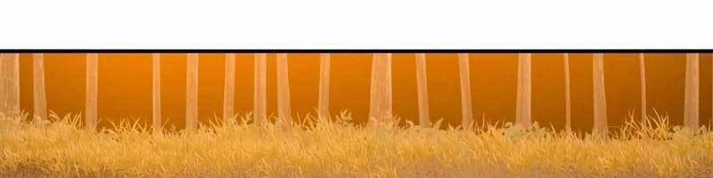 Tồn Tại Vĩnh Hằng 46 trang 258