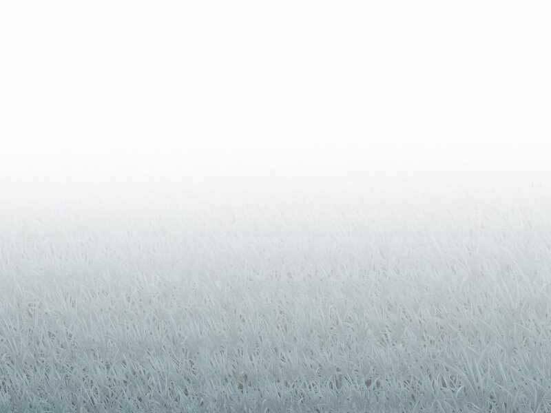 Tồn Tại Vĩnh Hằng 8 trang 49