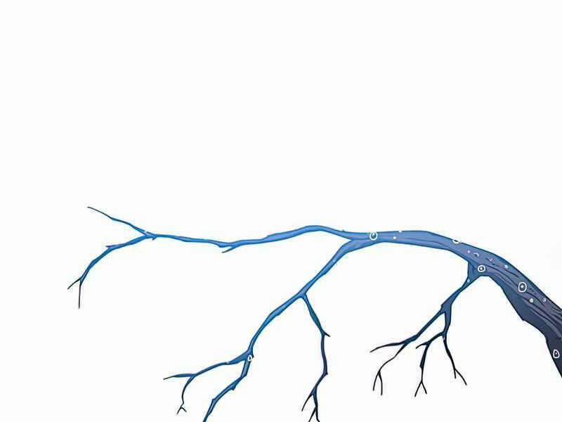 Tồn Tại Vĩnh Hằng 9.5 trang 21