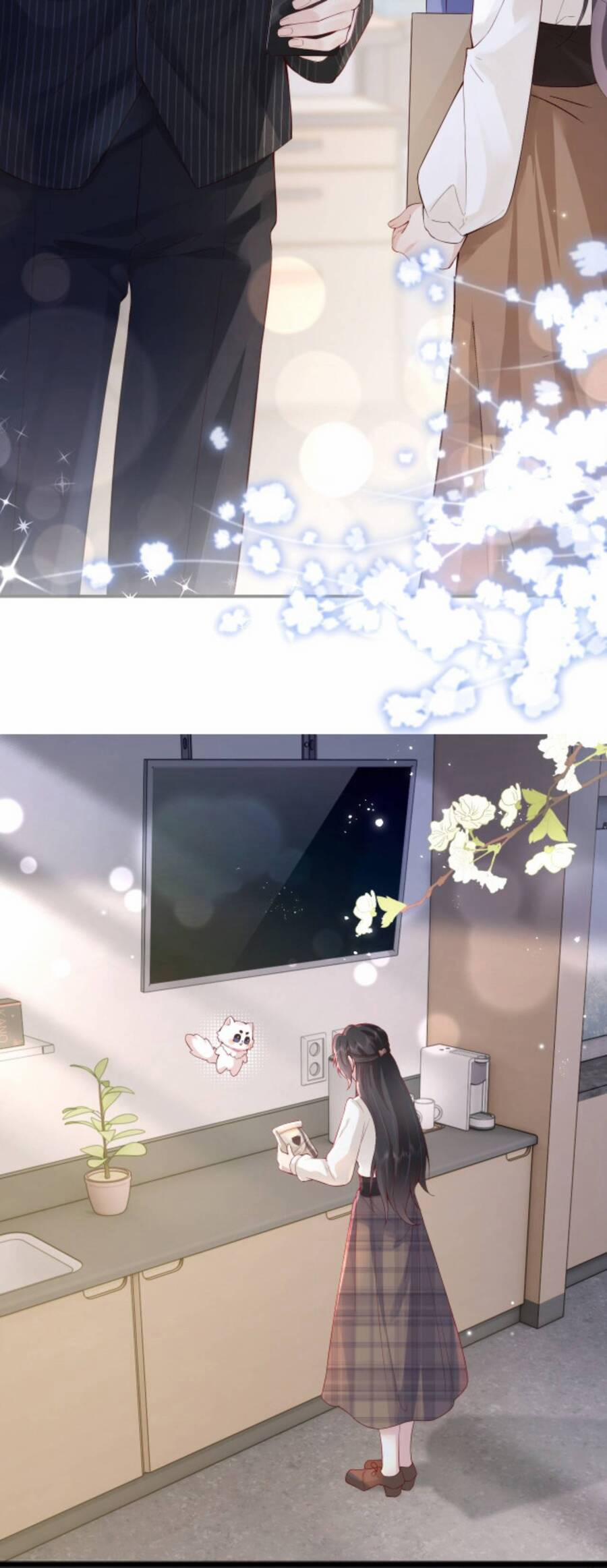 Tôn Trọng Số Mệnh Tra Nam, Buông Bỏ Tình Tiết Giúp Người 3 trang 3