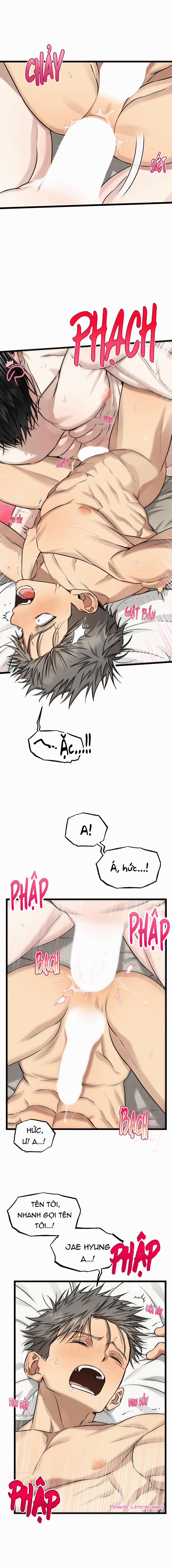 Tôn Trọng Và Ngưỡng Mộ 10 trang 2