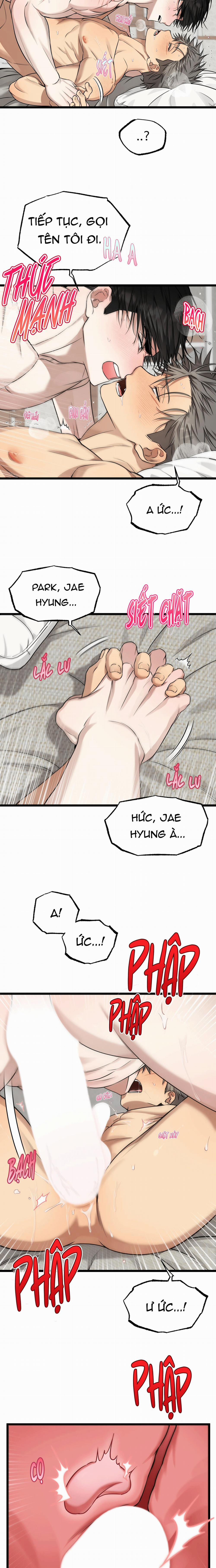 Tôn Trọng Và Ngưỡng Mộ 10 trang 4