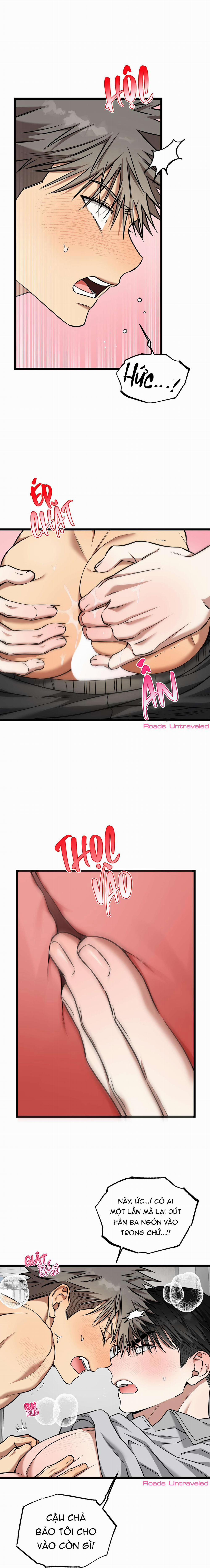 Tôn Trọng Và Ngưỡng Mộ 13 trang 14