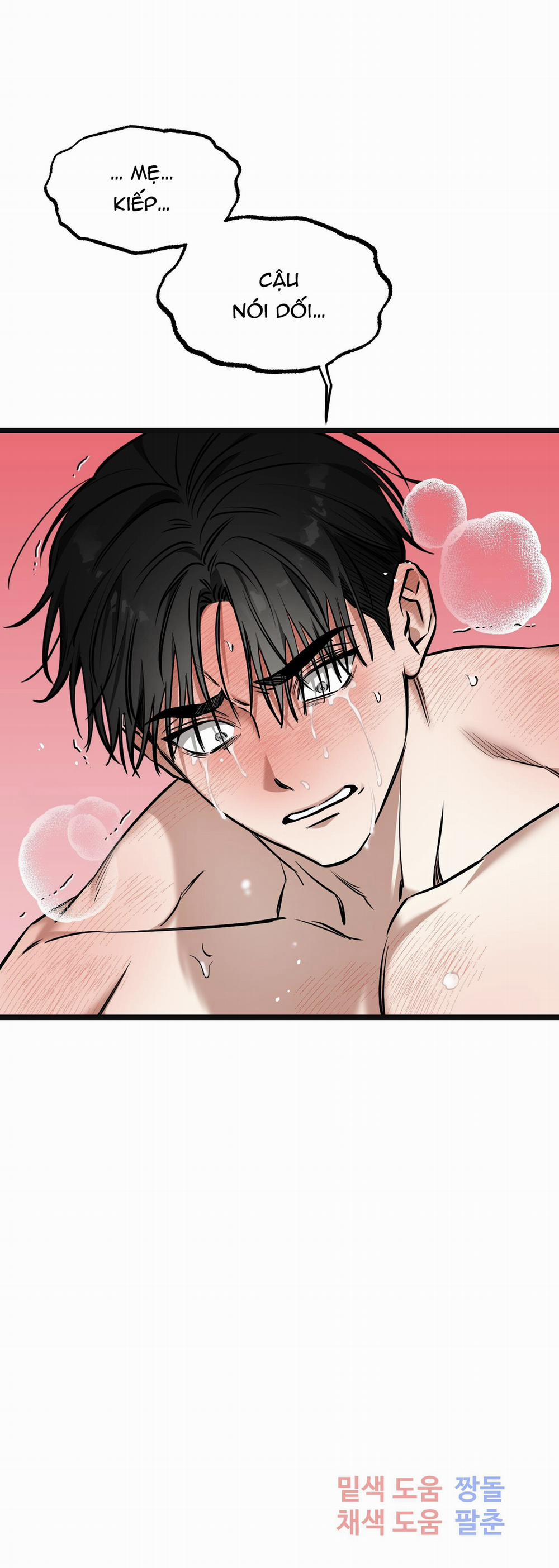 Tôn Trọng Và Ngưỡng Mộ 14 trang 14