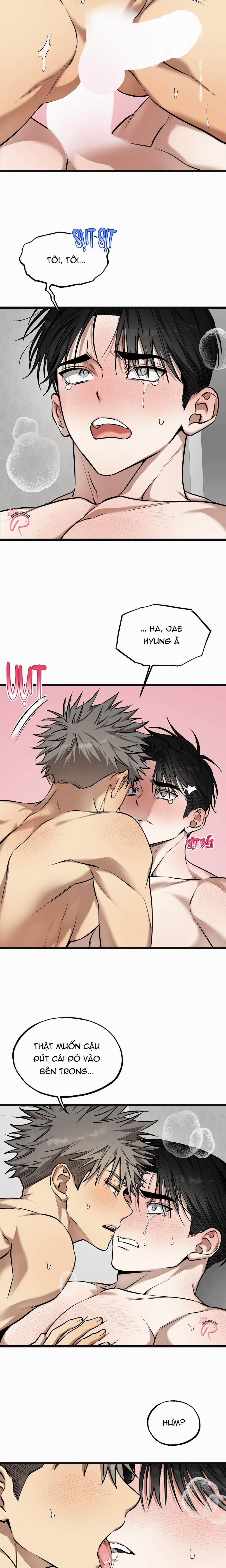 Tôn Trọng Và Ngưỡng Mộ 14 trang 3