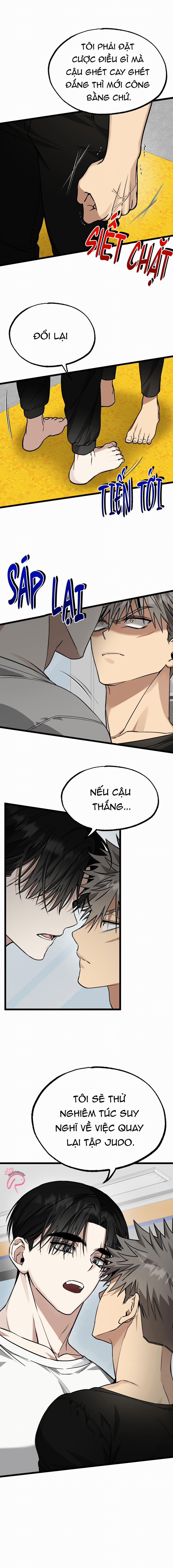 Tôn Trọng Và Ngưỡng Mộ 3 trang 1