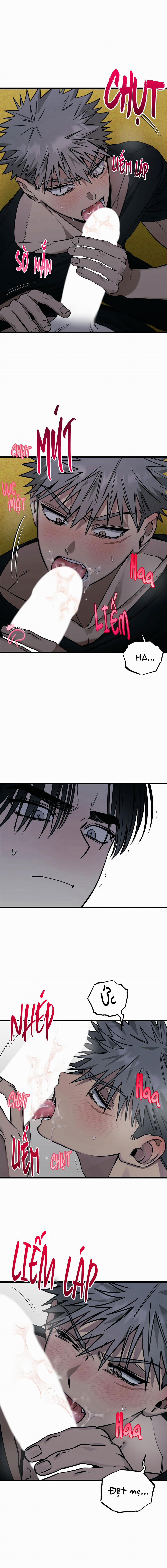 Tôn Trọng Và Ngưỡng Mộ 3 trang 11