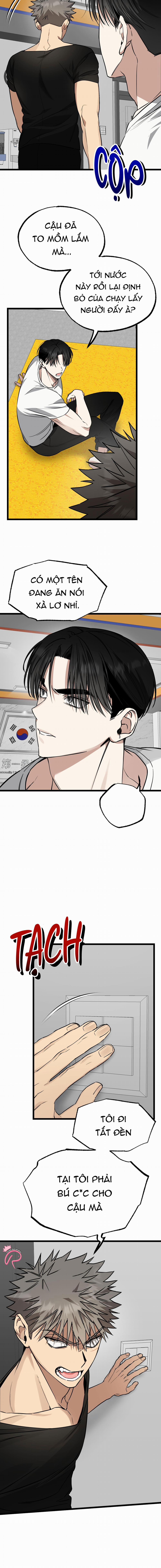 Tôn Trọng Và Ngưỡng Mộ 3 trang 8