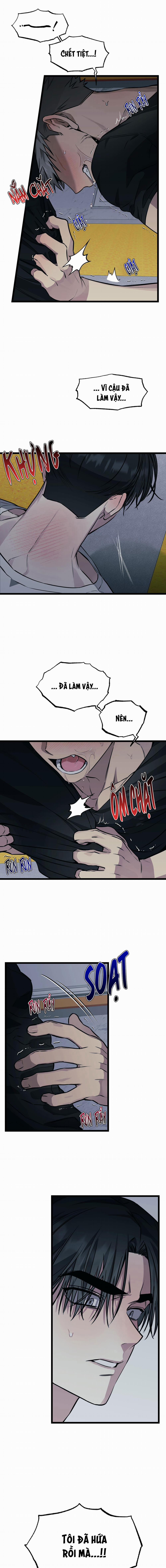 Tôn Trọng Và Ngưỡng Mộ 4 trang 5