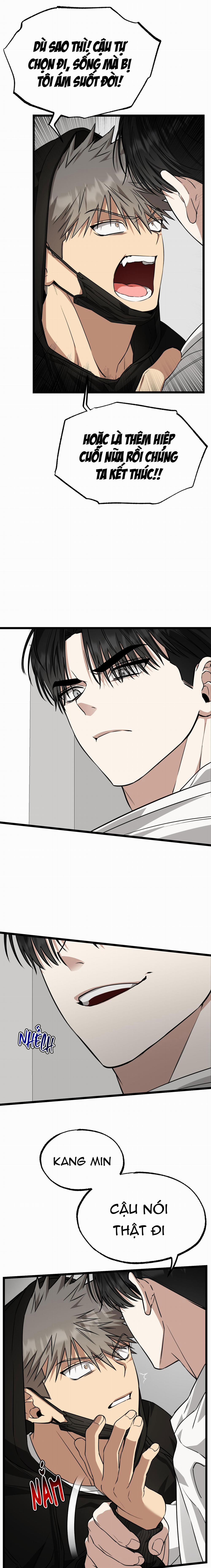 Tôn Trọng Và Ngưỡng Mộ 5 trang 3