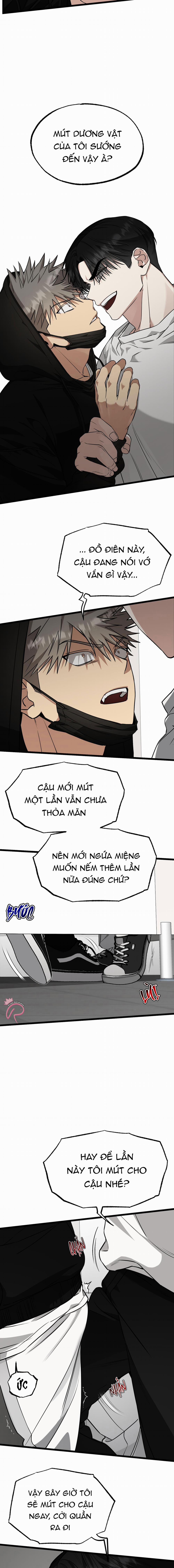 Tôn Trọng Và Ngưỡng Mộ 5 trang 4