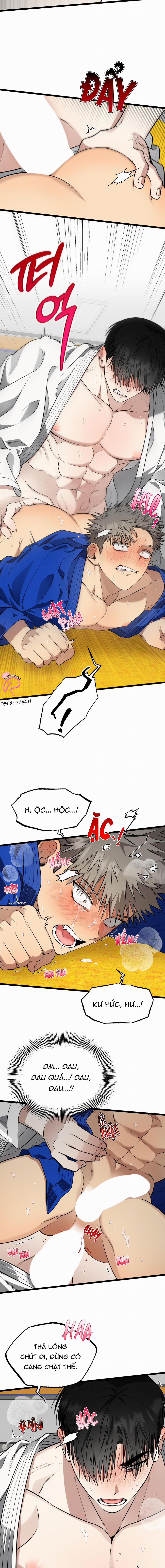 Tôn Trọng Và Ngưỡng Mộ 6 trang 4