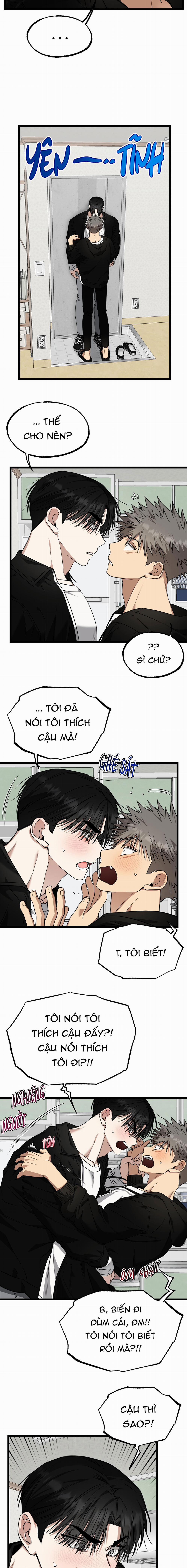 Tôn Trọng Và Ngưỡng Mộ 8 trang 13