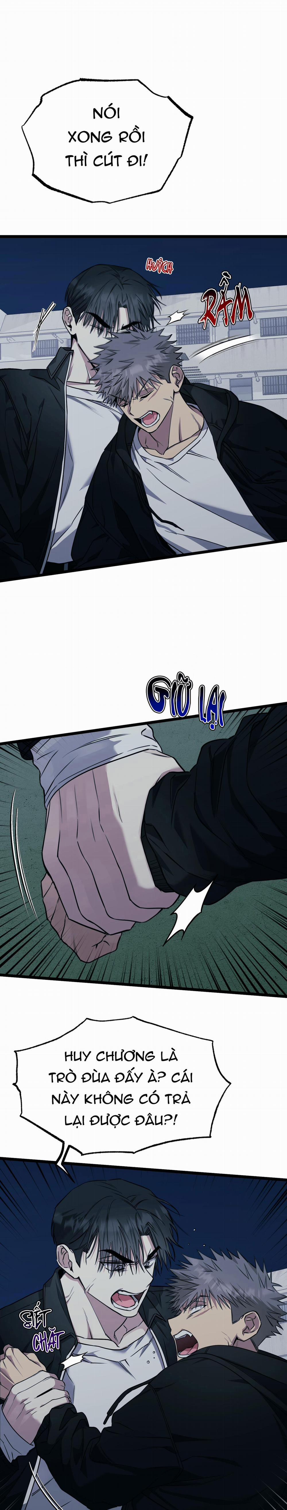 Tôn Trọng Và Ngưỡng Mộ 8 trang 4