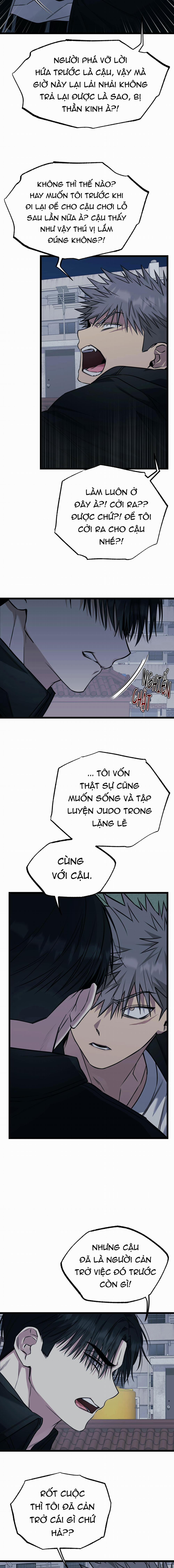 Tôn Trọng Và Ngưỡng Mộ 8 trang 5