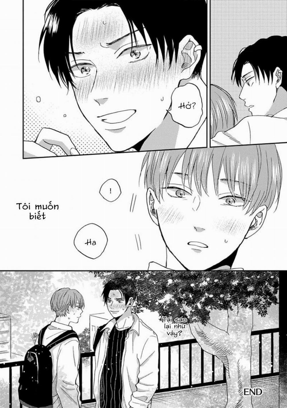 Tổng Hợp Bl: Tôi Đã Va Vào Lưới Tình Của Một Chàng Trai 8 trang 21