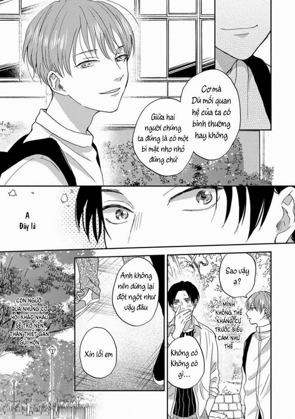 Tổng Hợp Bl: Tôi Đã Va Vào Lưới Tình Của Một Chàng Trai 8 trang 4