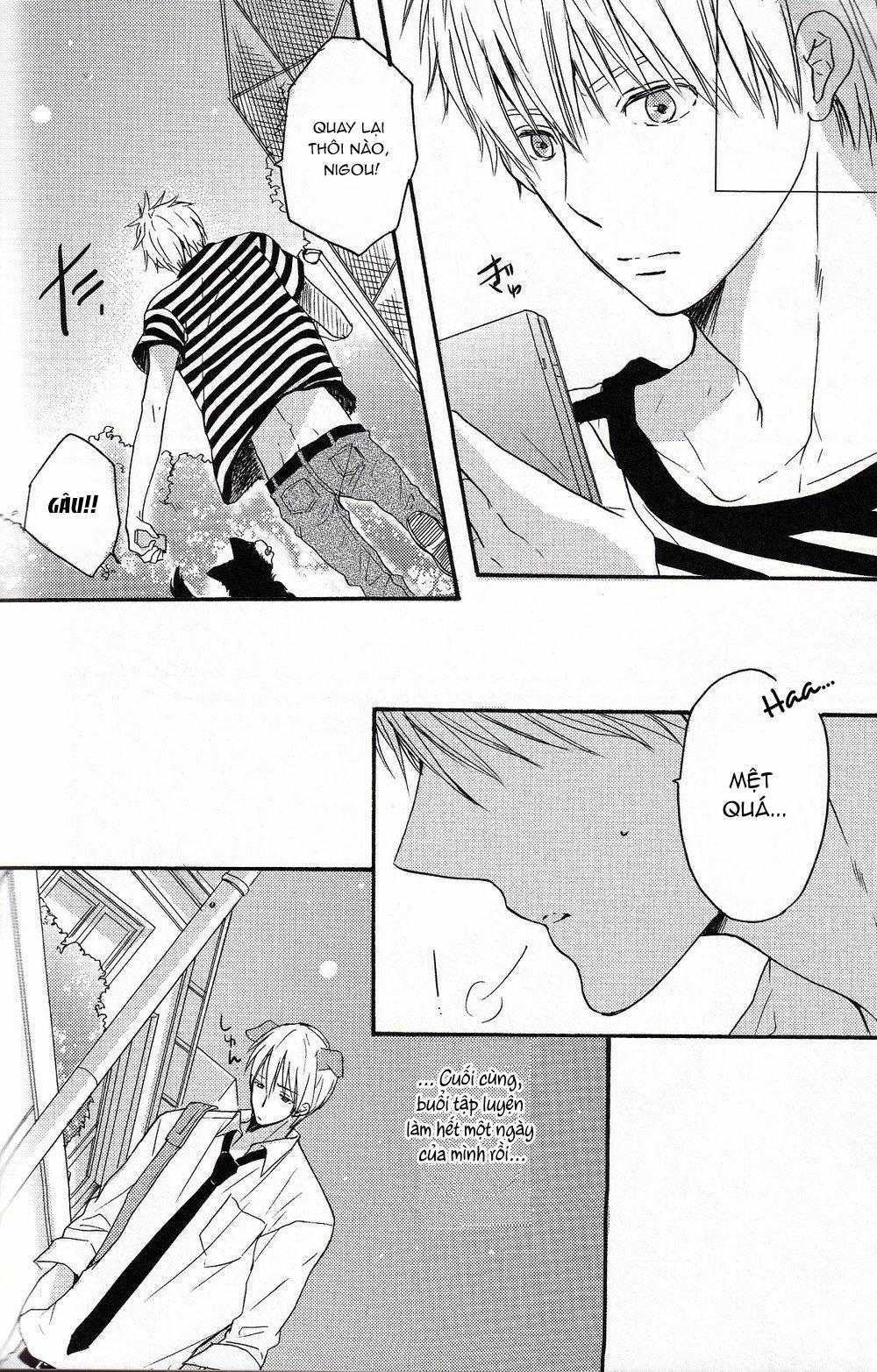 Tổng Hợp Oneshot 24.1 trang 20