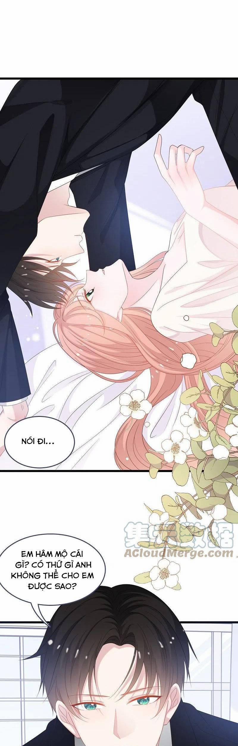 Tổng Tài Daddy Đuổi Tới Nơi Rồi 186 trang 6