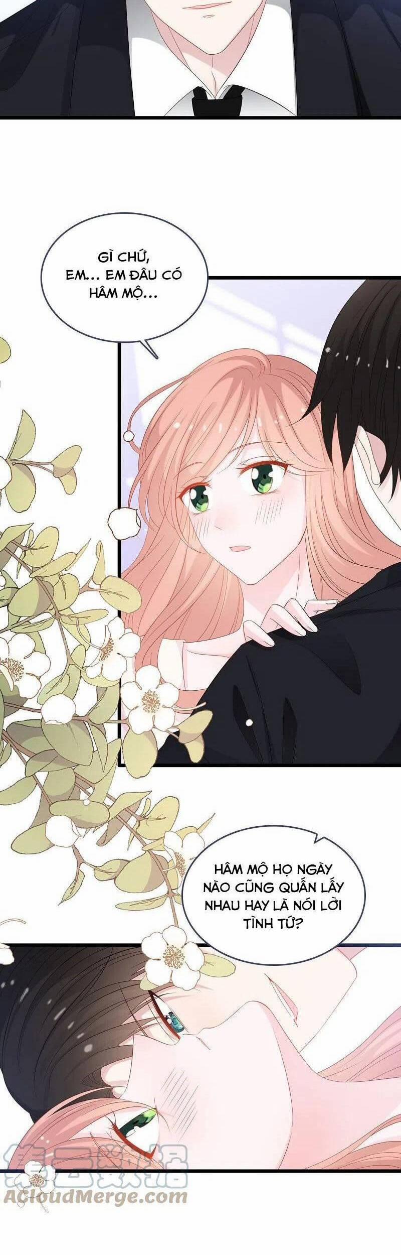 Tổng Tài Daddy Đuổi Tới Nơi Rồi 186 trang 7